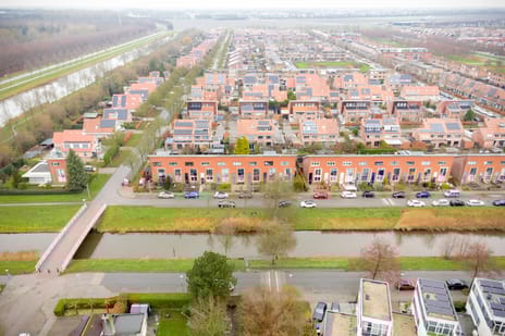 Zwarte Specht 58 tertiary image