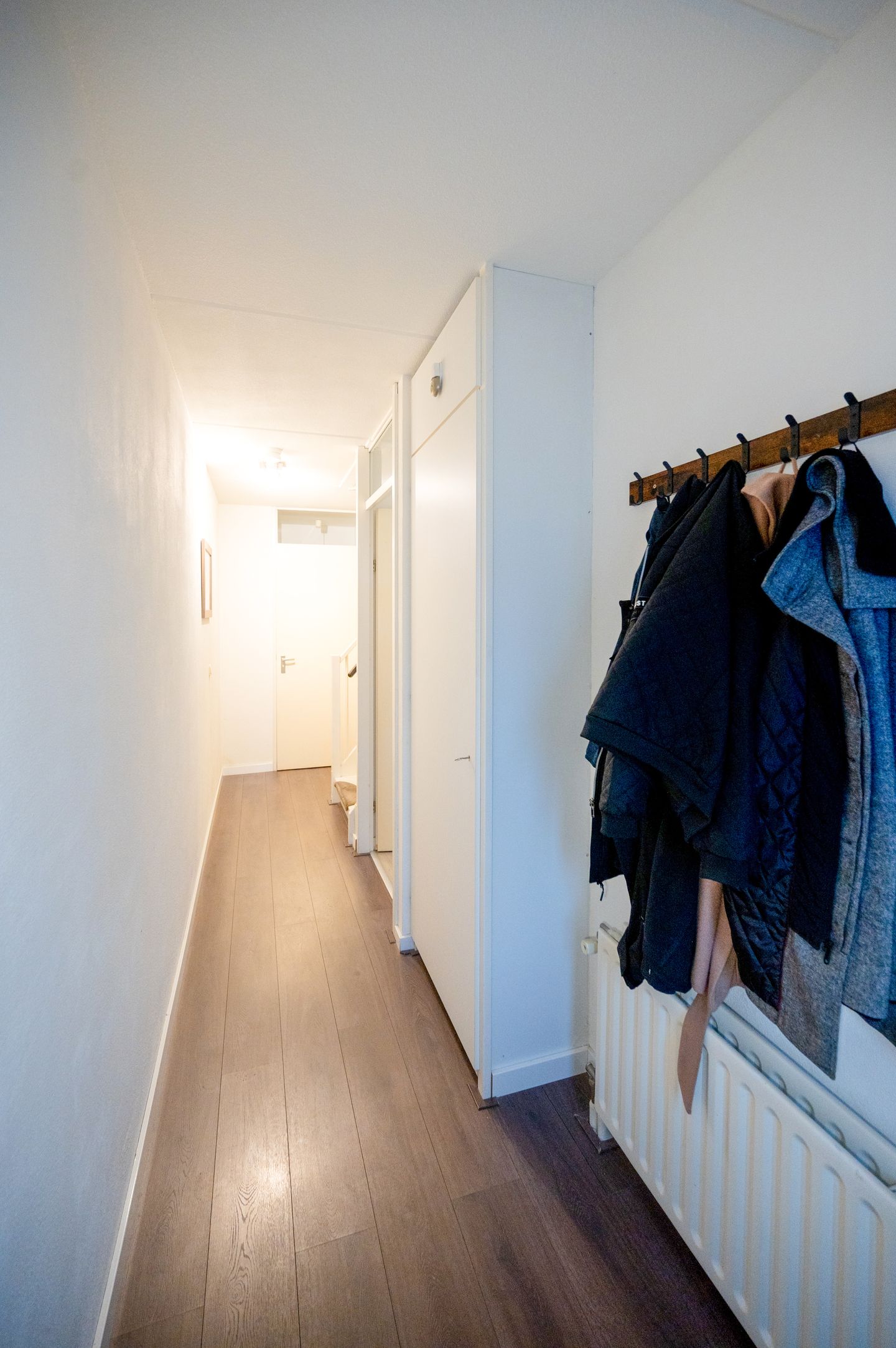 Photo 4 of Zwarte Specht 58