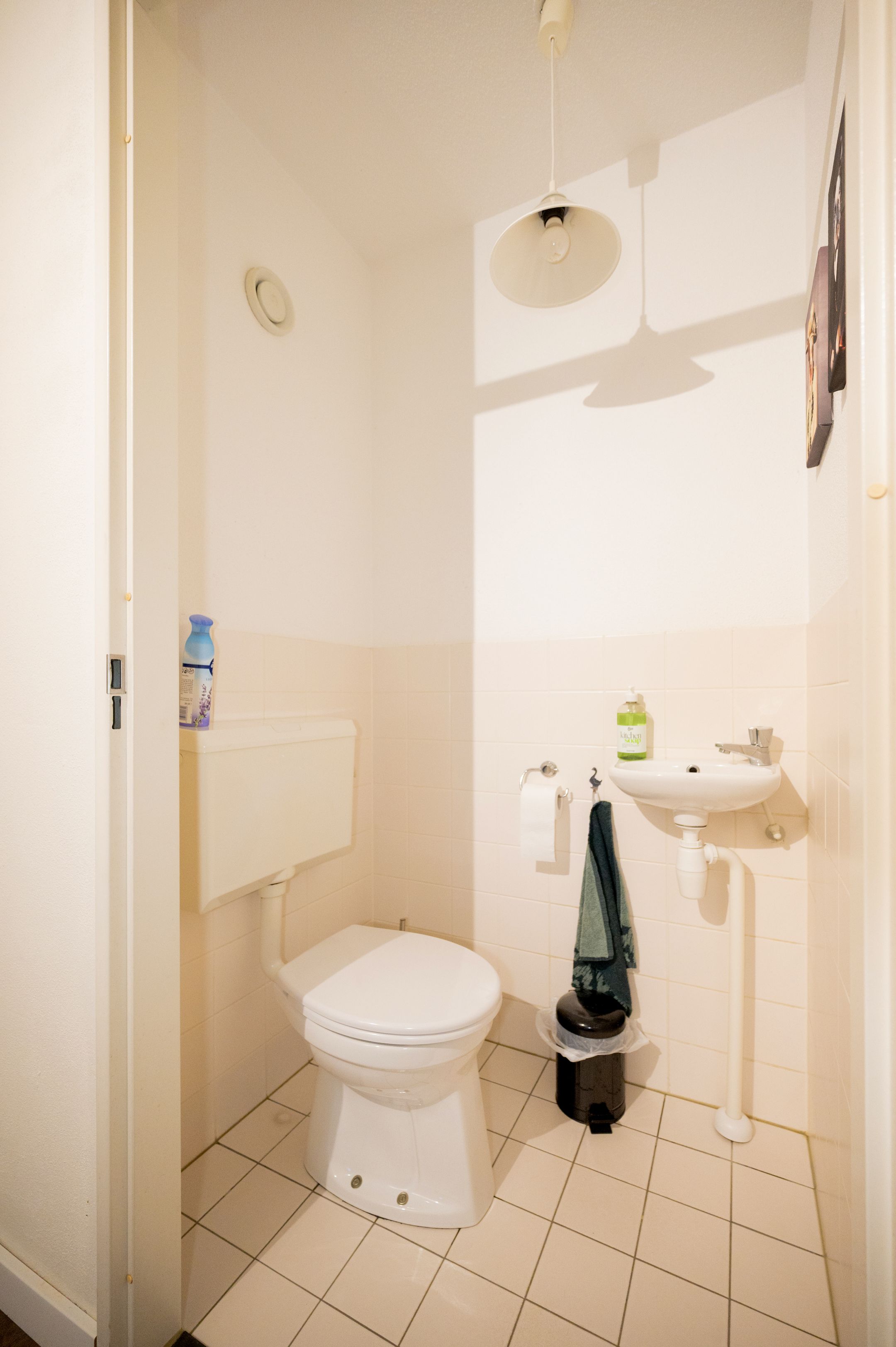 Photo 6 of Zwarte Specht 58