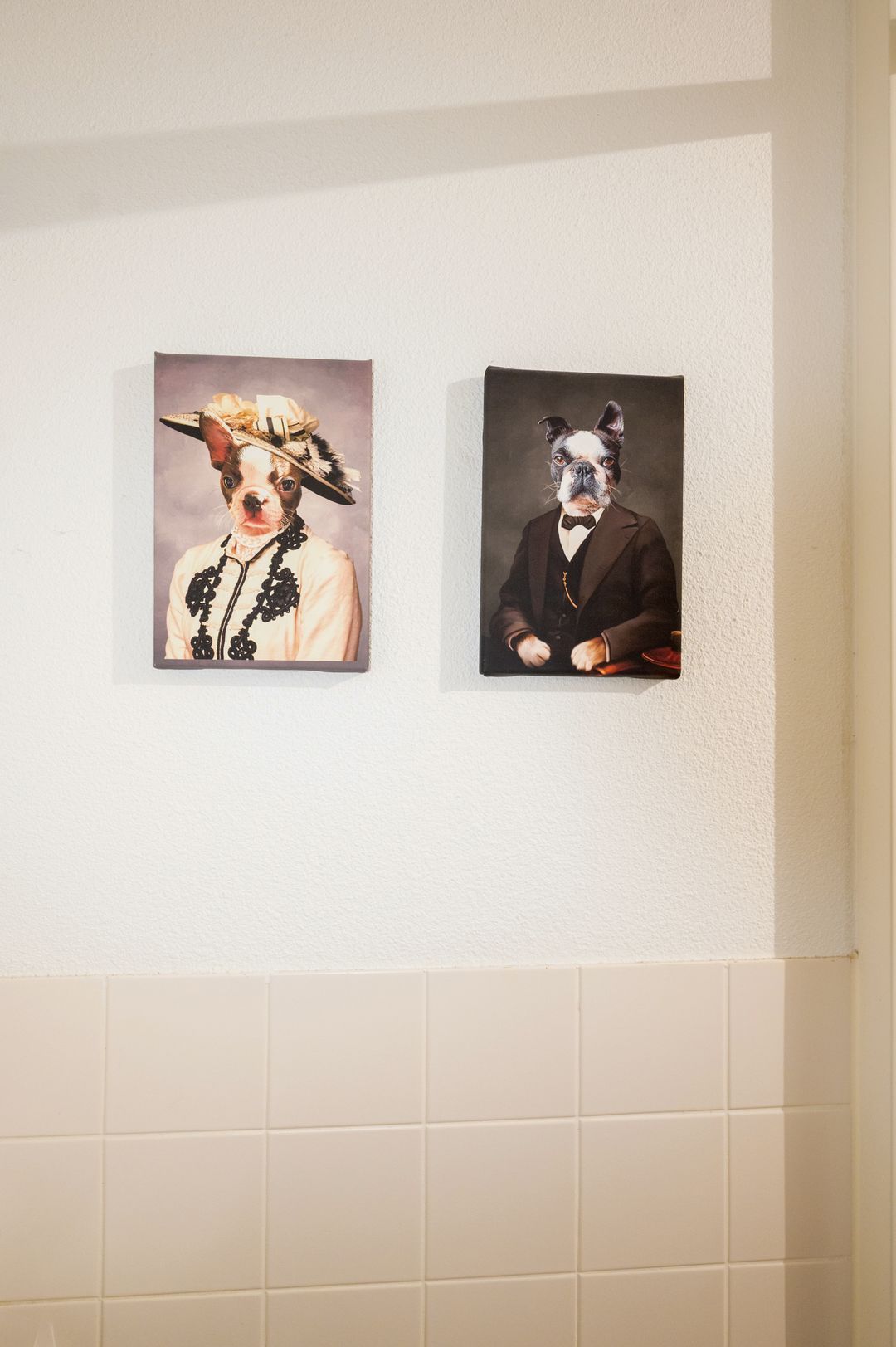 Photo 7 of Zwarte Specht 58