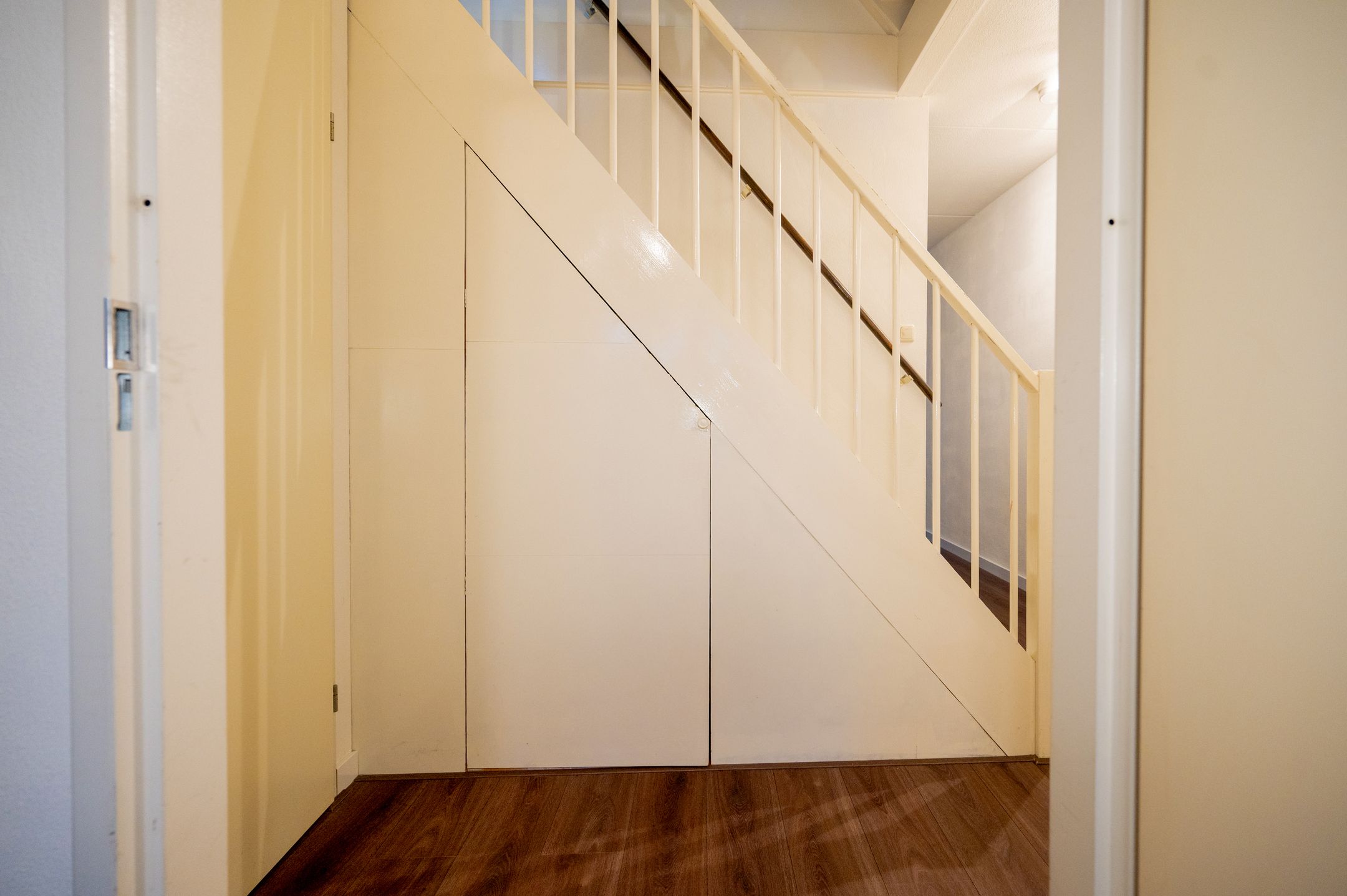 Photo 9 of Zwarte Specht 58