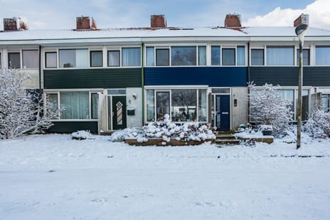 Anemoonstraat thumbnail