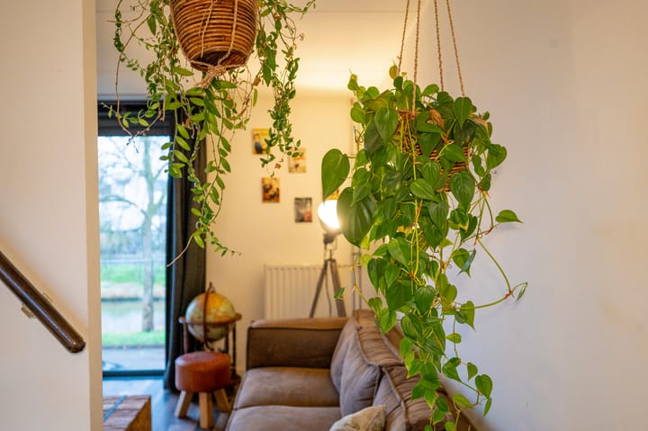 Foto 16 van Zwarte Specht 58