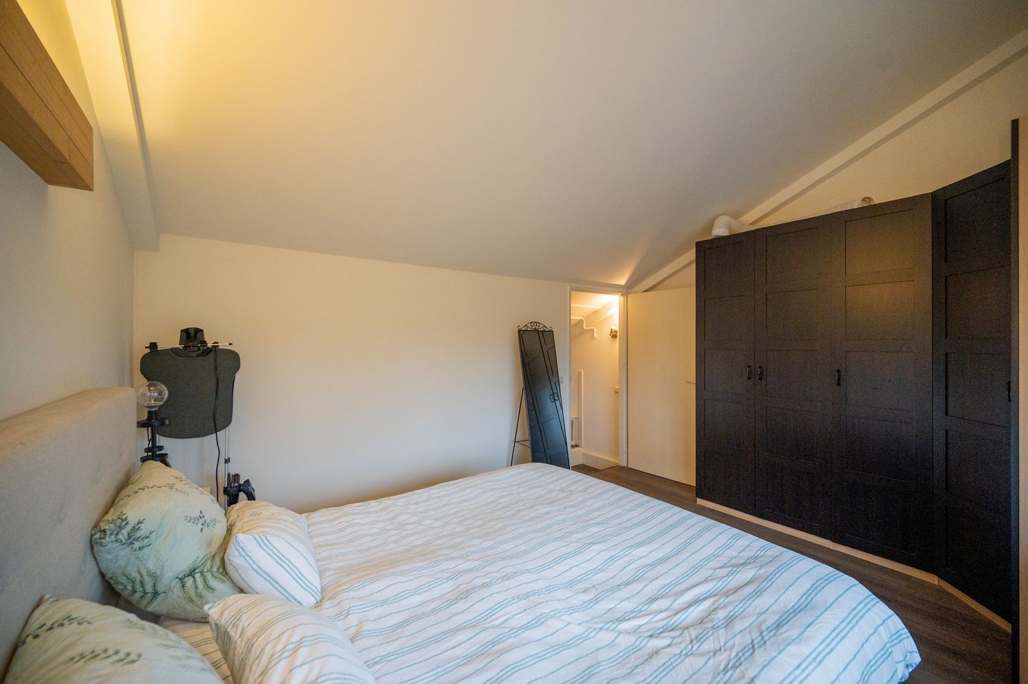 Photo 19 of Zwarte Specht 58