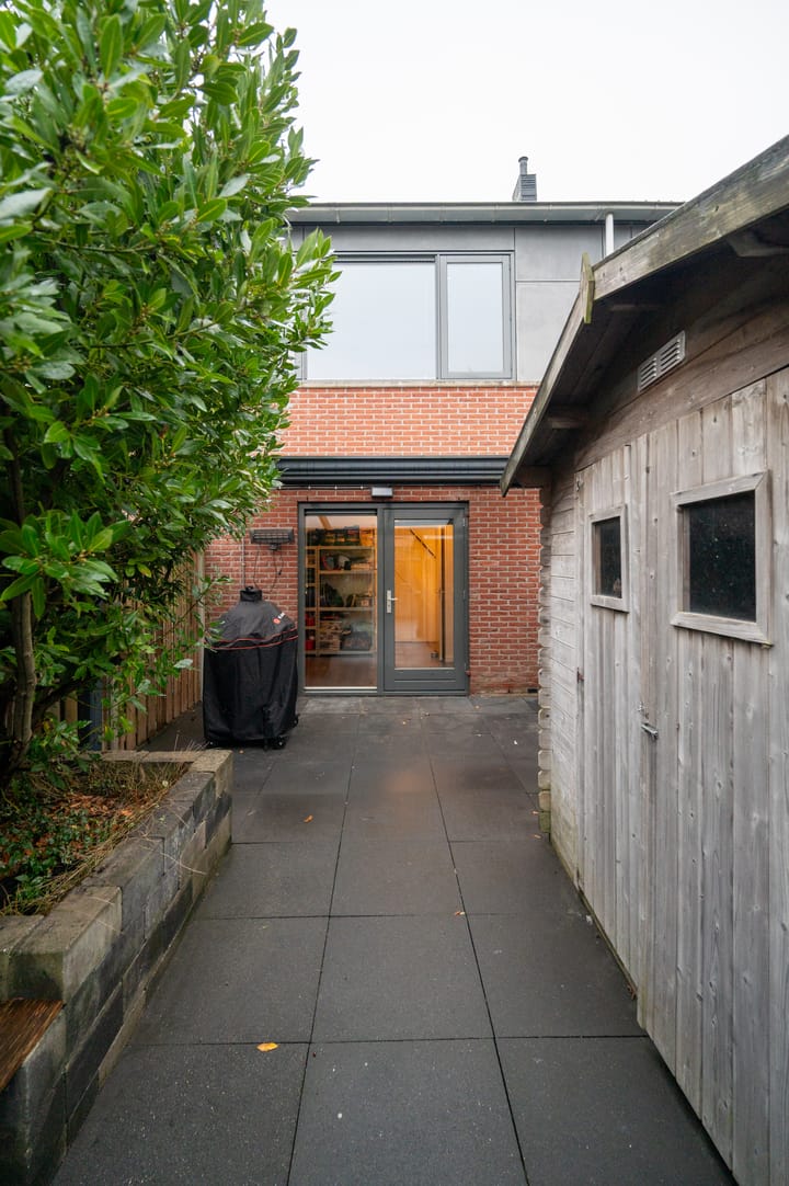 Foto 20 van Zwarte Specht 58