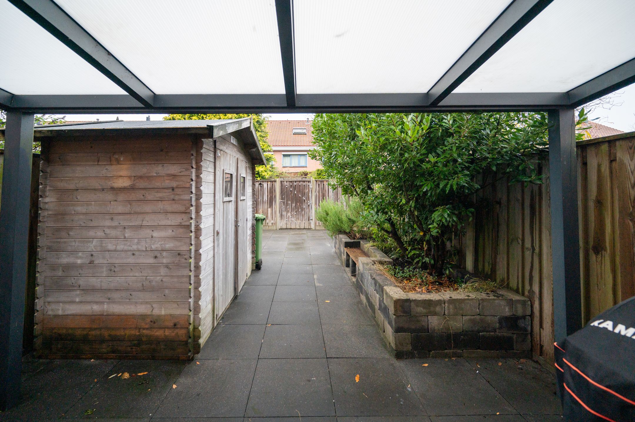 Photo 21 of Zwarte Specht 58