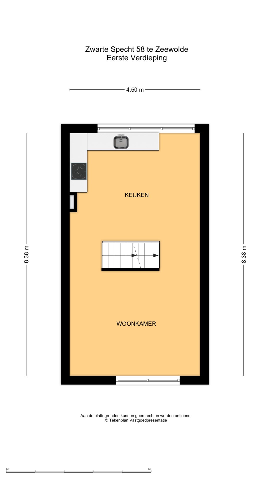 Photo 23 of Zwarte Specht 58