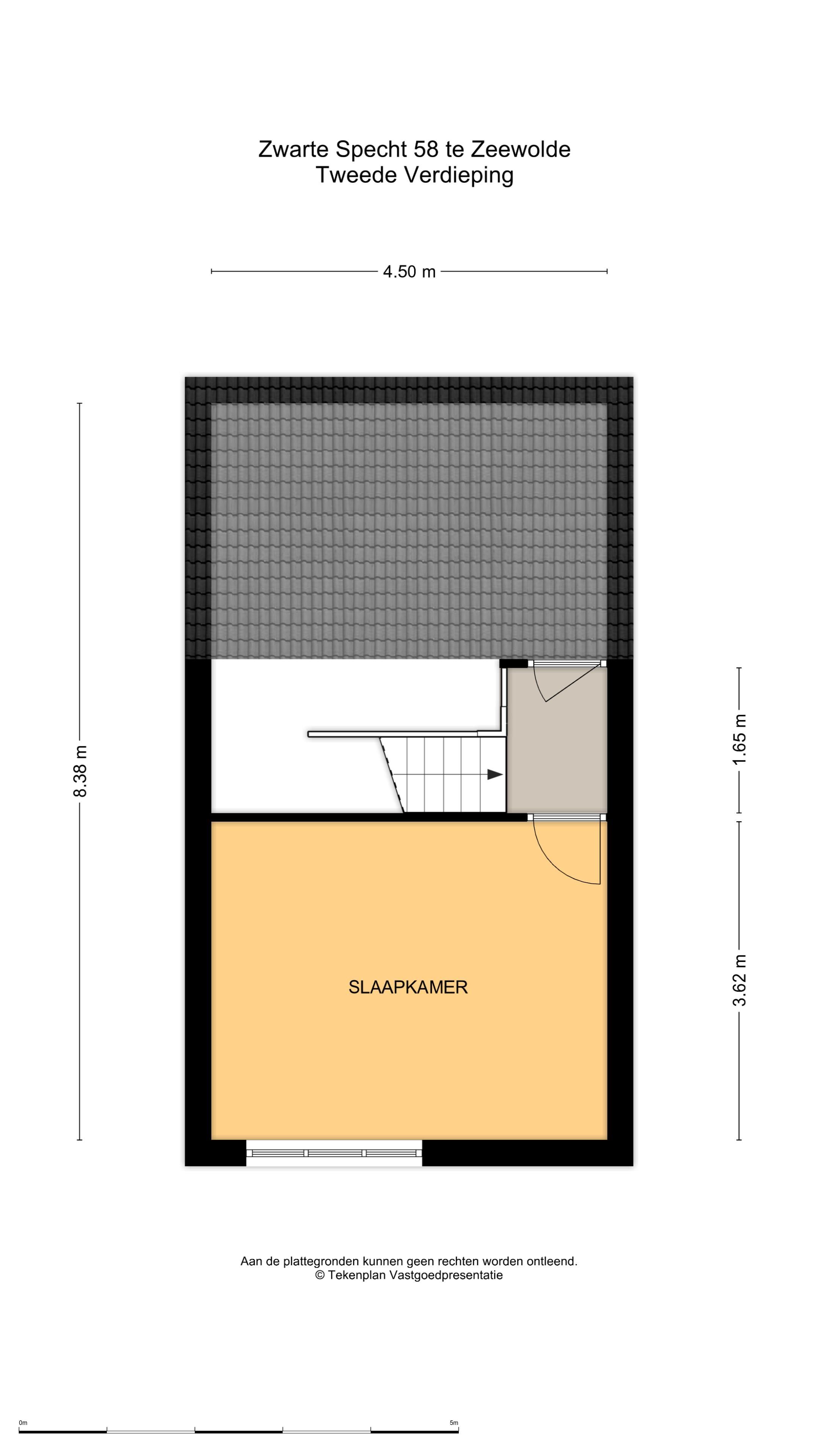 Photo 24 of Zwarte Specht 58