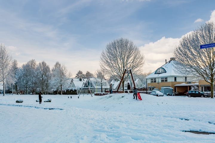 Foto 51 van Anemoonstraat 17