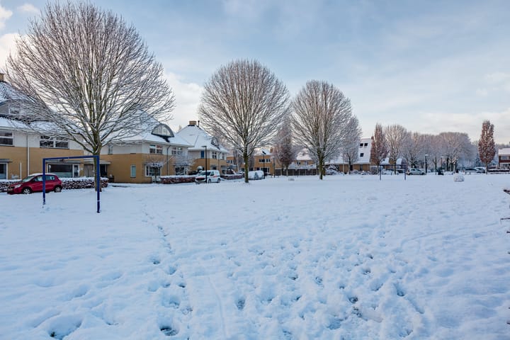 Foto 52 van Anemoonstraat 17