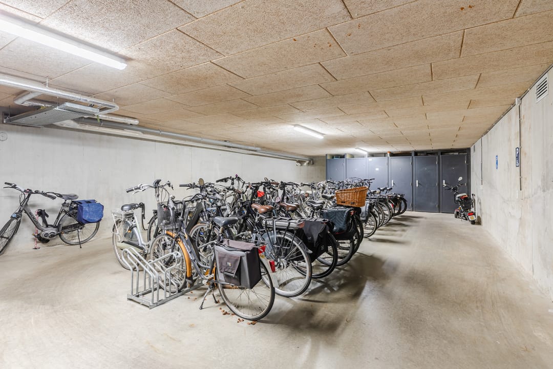 Foto 41 van Houtwal 26