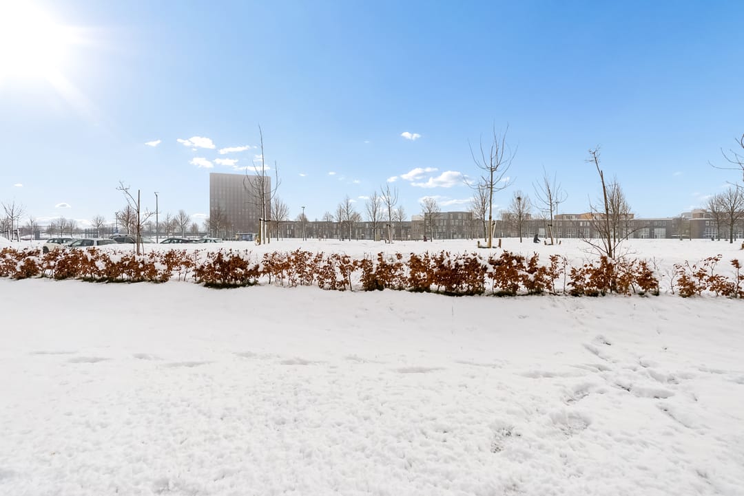 Photo 26 of Dettifossstraat 264