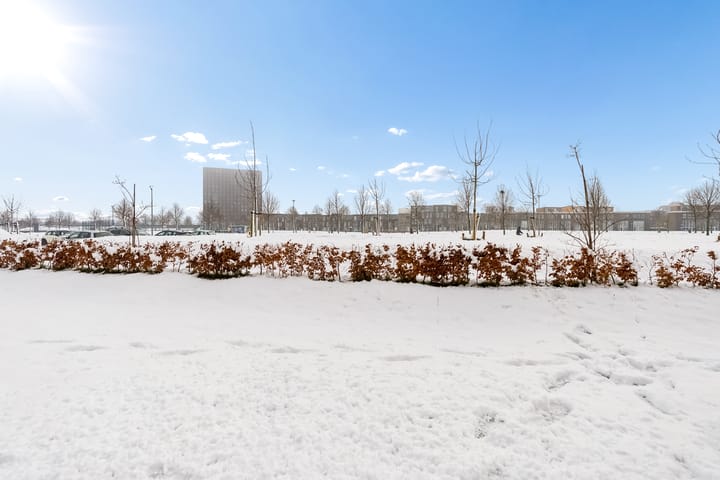 Foto 26 van Dettifossstraat 264