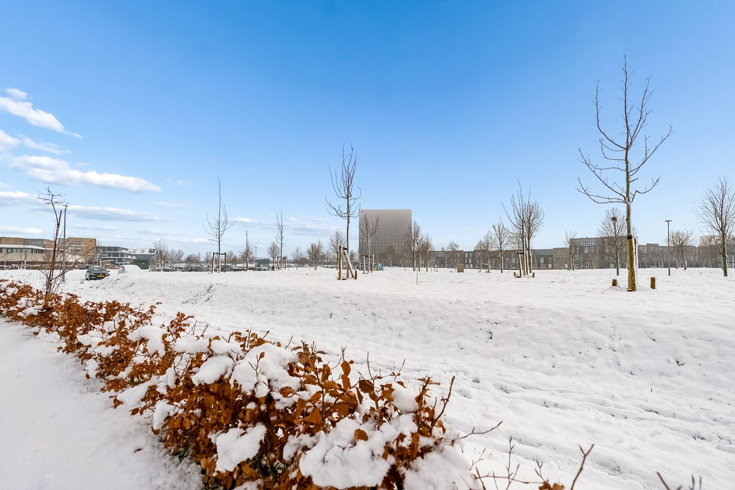 Photo 44 of Dettifossstraat 264