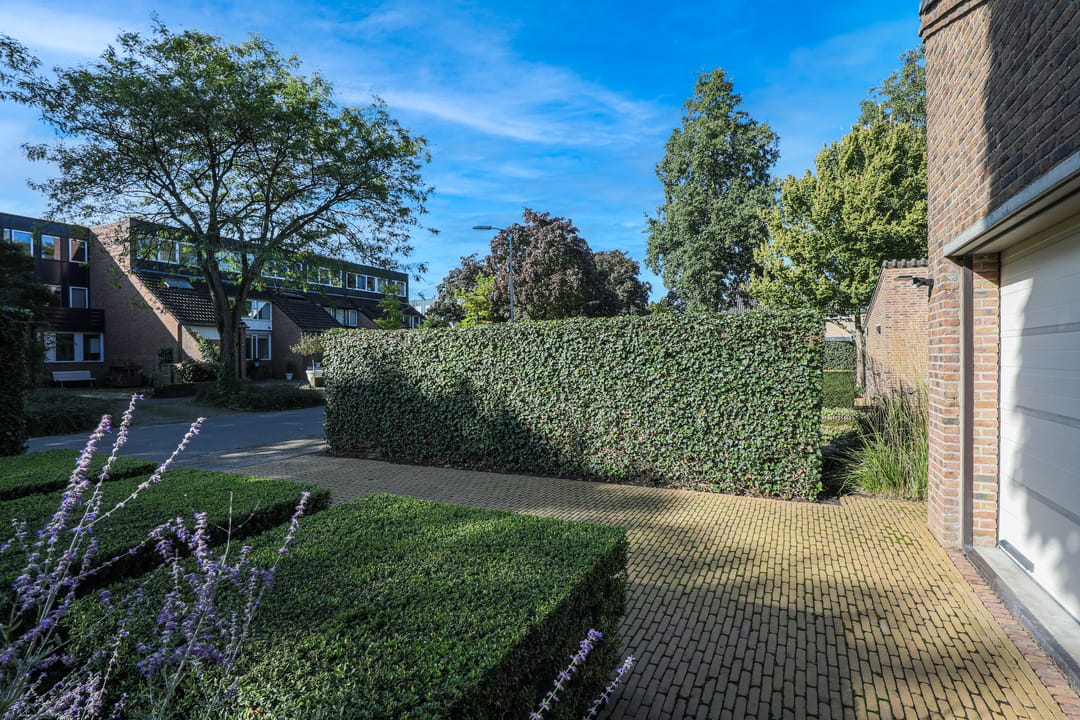 Photo 53 of Elzenlaan 53