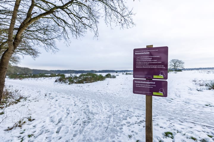 Foto 36 van Geysendorfferstraat 31