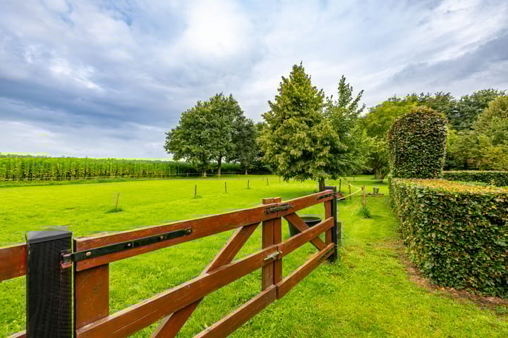 Foto 2 van Borgercompagnie 86