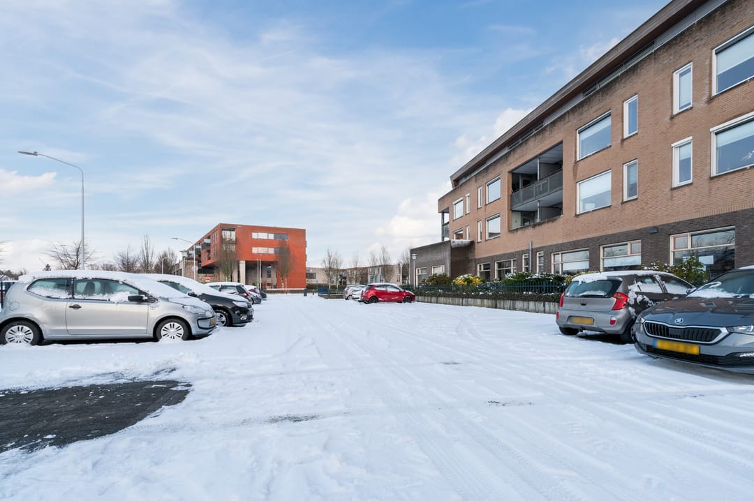 Foto 7 van Paardenhei 21