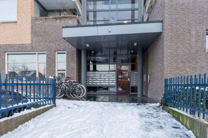 Foto 8 van Paardenhei 21