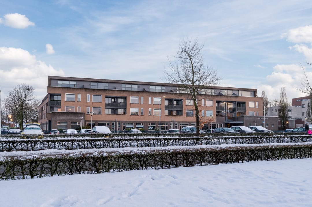 Foto 43 van Paardenhei 21