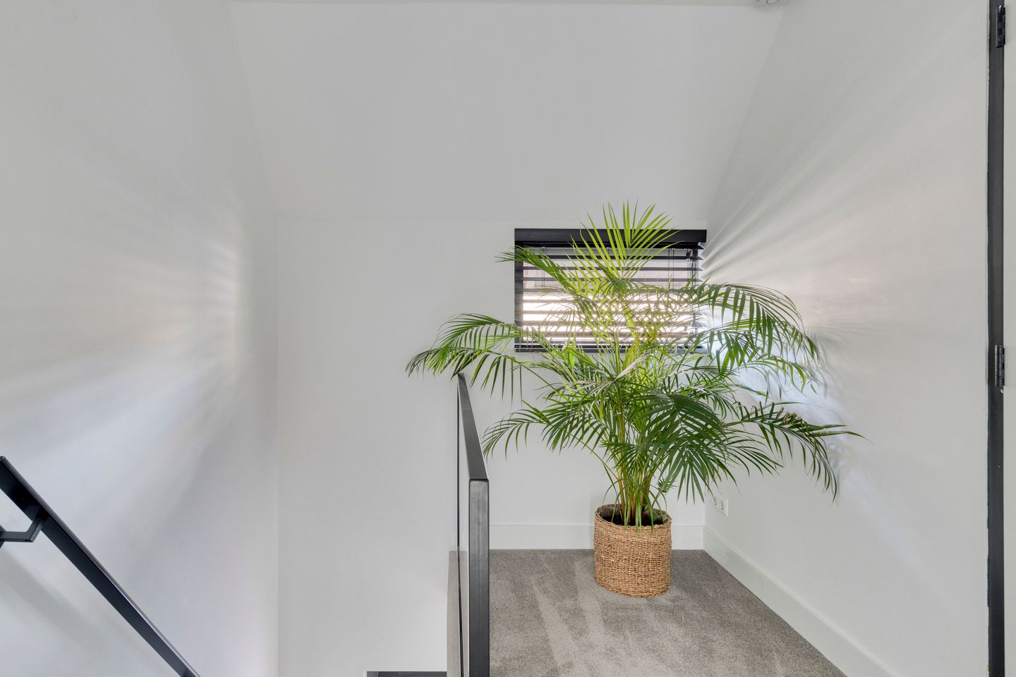 Photo 20 of Bickerstraat 70-A