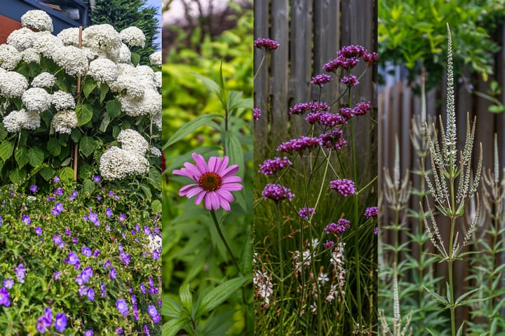 Foto 23 van Monsterseweg 81