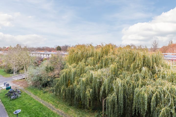 Foto 8 van Praterlaan 190