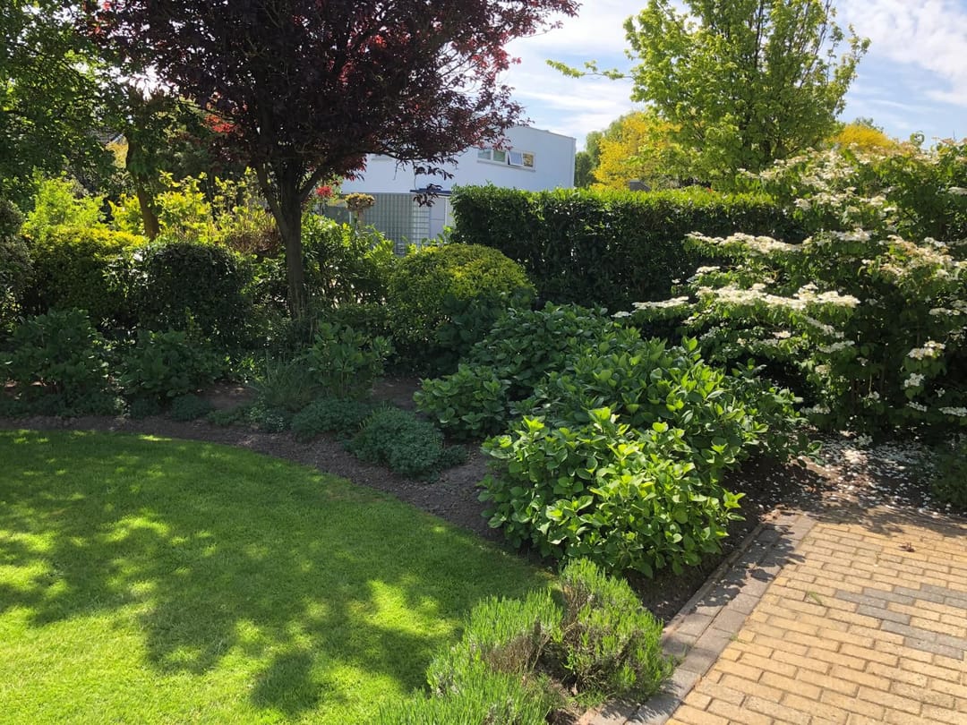 Photo 53 of C.W. Sturmstraat 3