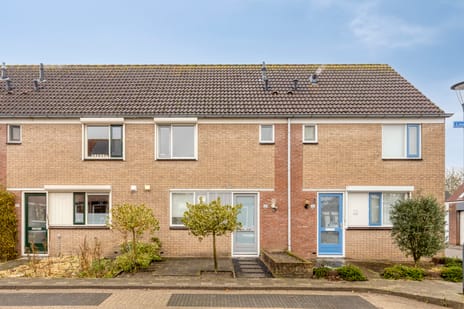 undefined main image