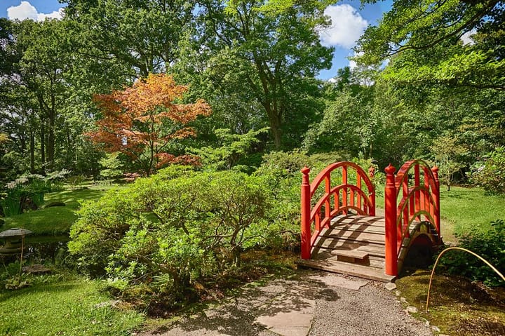 Foto 35 van Van der Aastraat 102