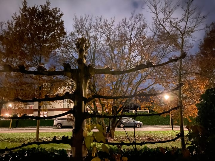 Foto 12 van Lofoten 1