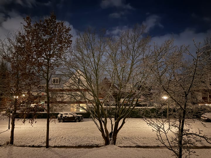 Foto 13 van Lofoten 1