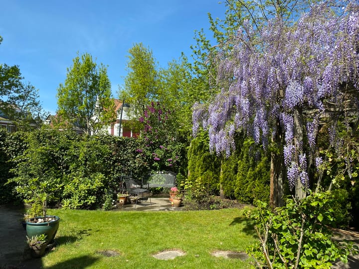 Foto 55 van Lofoten 1