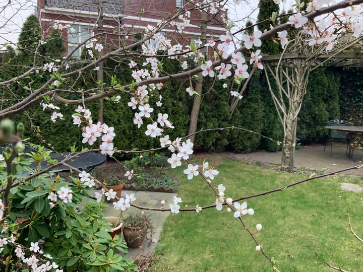 Foto 57 van Lofoten 1