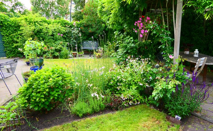 Foto 58 van Lofoten 1