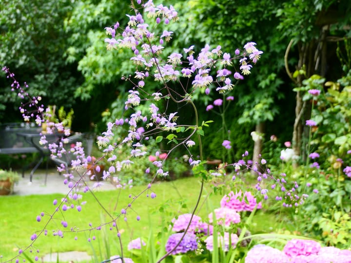 Foto 59 van Lofoten 1