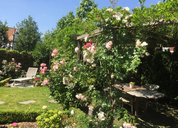 Foto 56 van Lofoten 1