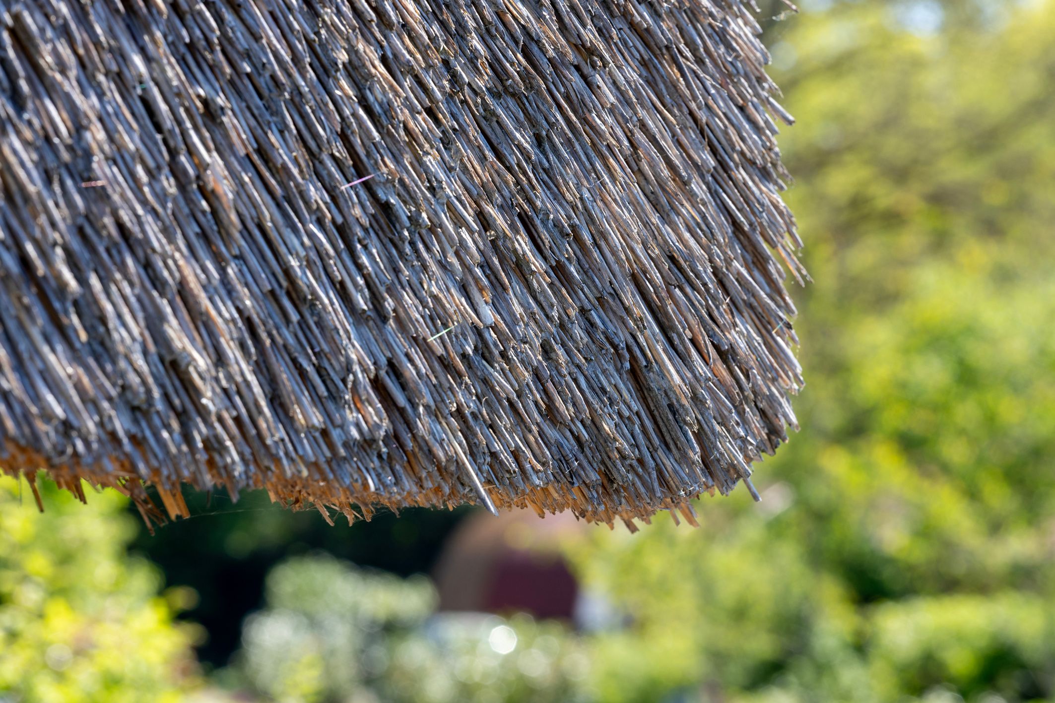 Foto 39 van Bergweg 76-R433