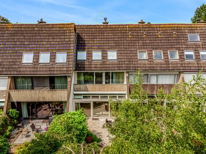 Foto 3 van Heivlinder 65