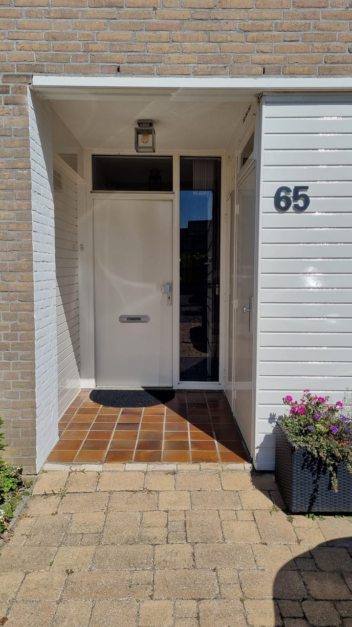 Foto 5 van Heivlinder 65