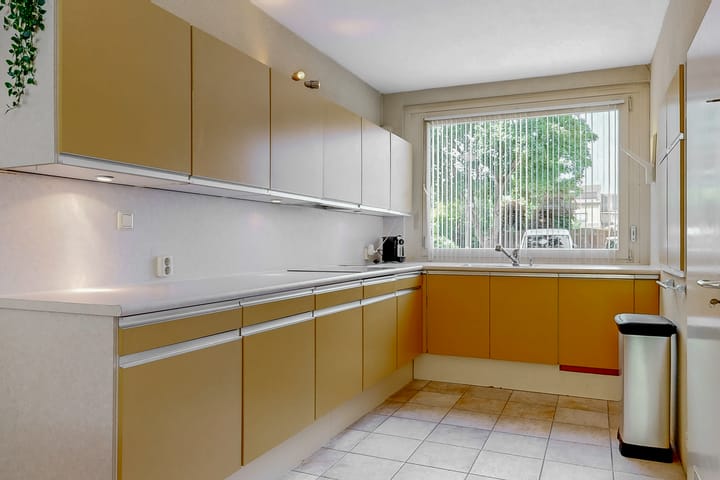 Foto 15 van Heivlinder 65