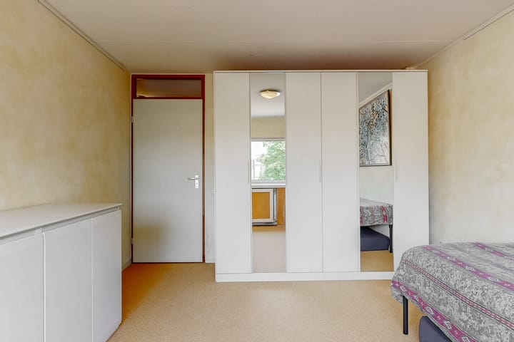 Foto 25 van Heivlinder 65