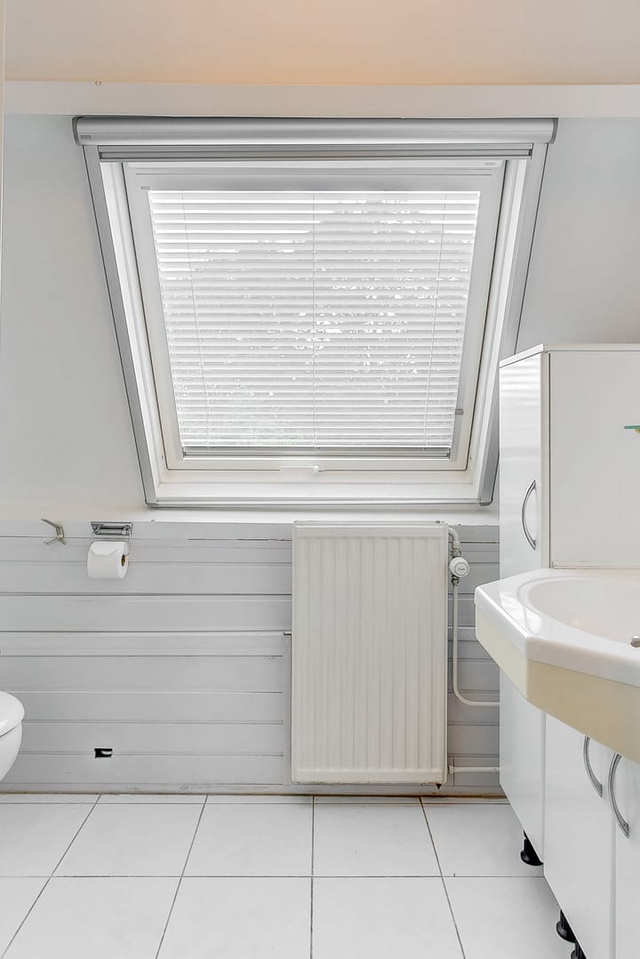 Foto 36 van Heivlinder 65