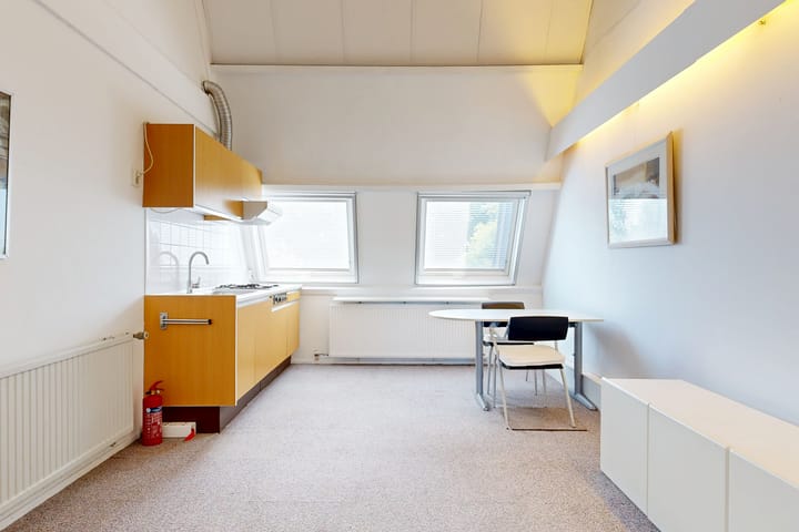 Foto 41 van Heivlinder 65