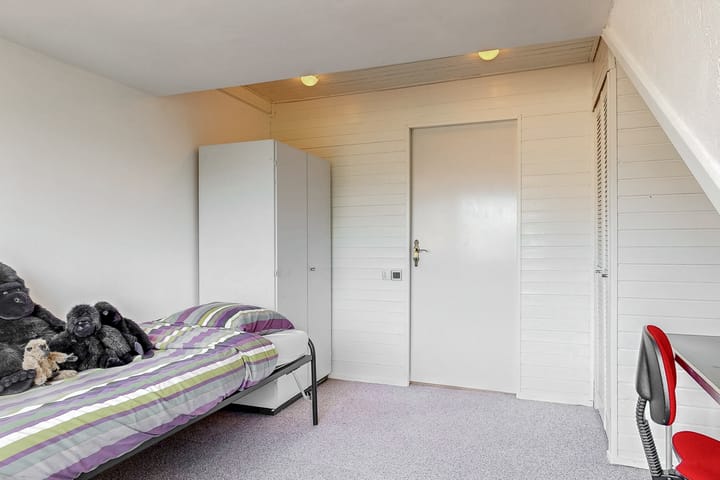 Foto 45 van Heivlinder 65