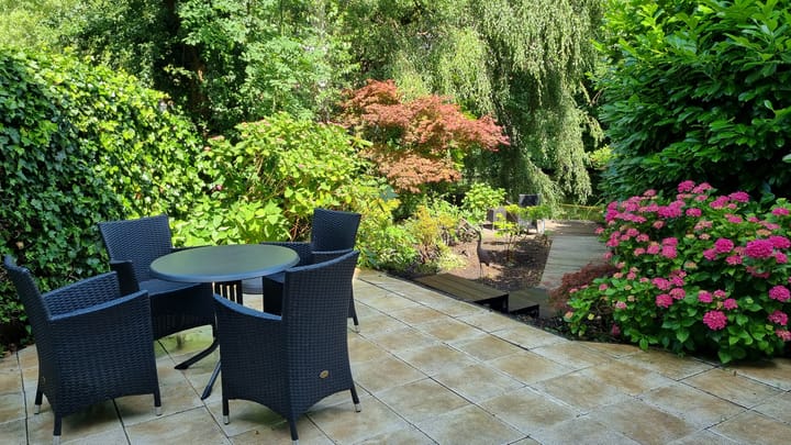 Foto 47 van Heivlinder 65