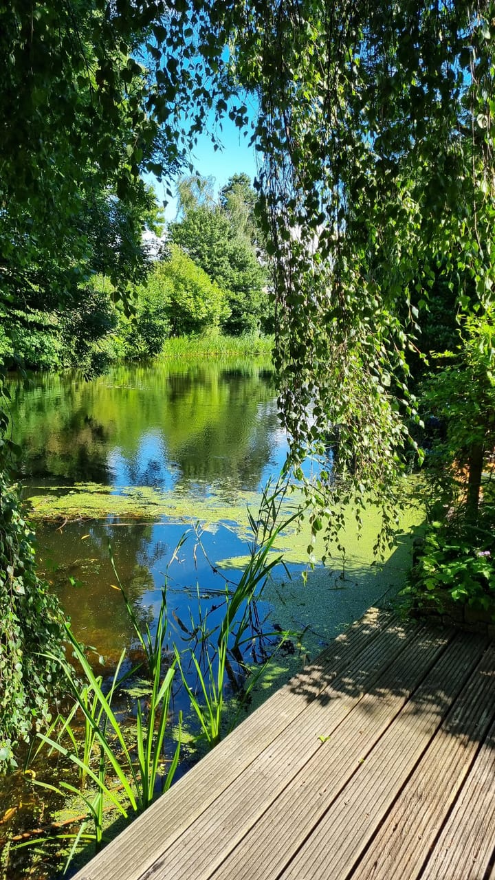 Foto 51 van Heivlinder 65