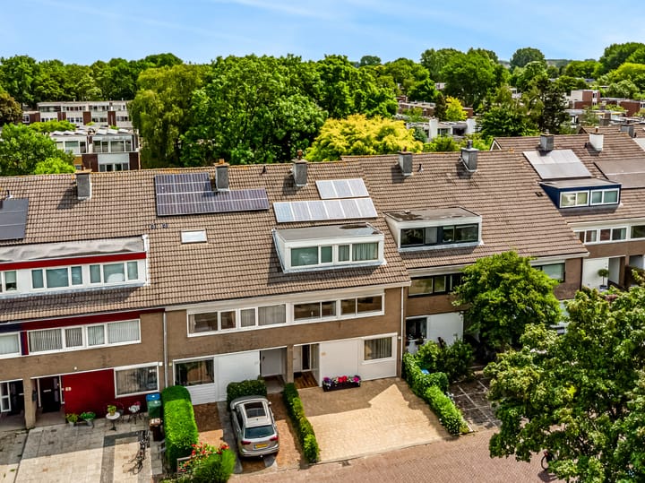 Foto 52 van Heivlinder 65