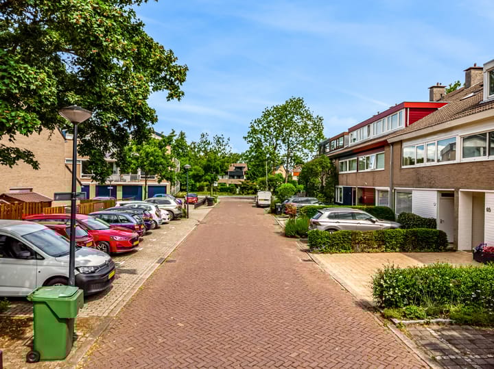 Foto 53 van Heivlinder 65