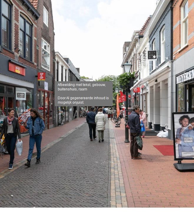 Bekijk foto 2 van Nassaulaan 19